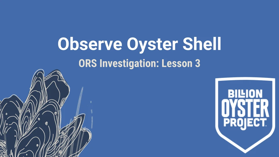 ORS L3 — Slides