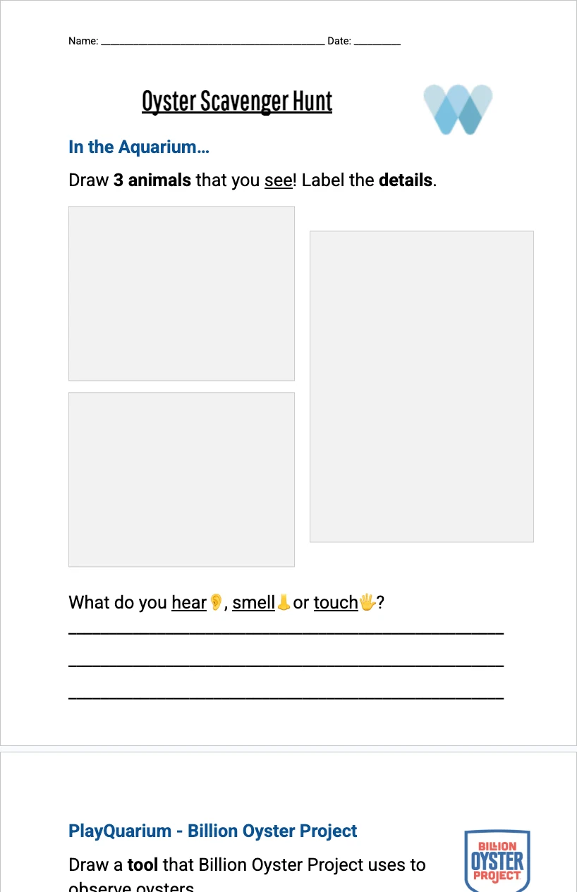 K-2 Aquarium — Scavenger Hunt