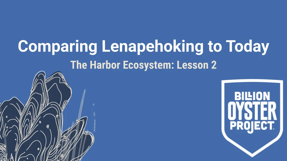 Harbor L2 — Slides
