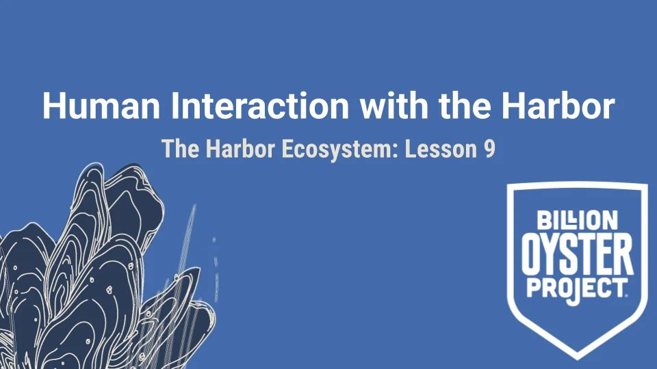 Harbor L9 — Slides