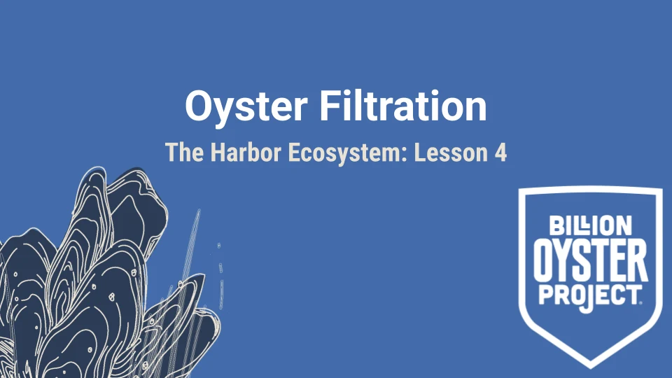 Harbor L4 — Slides