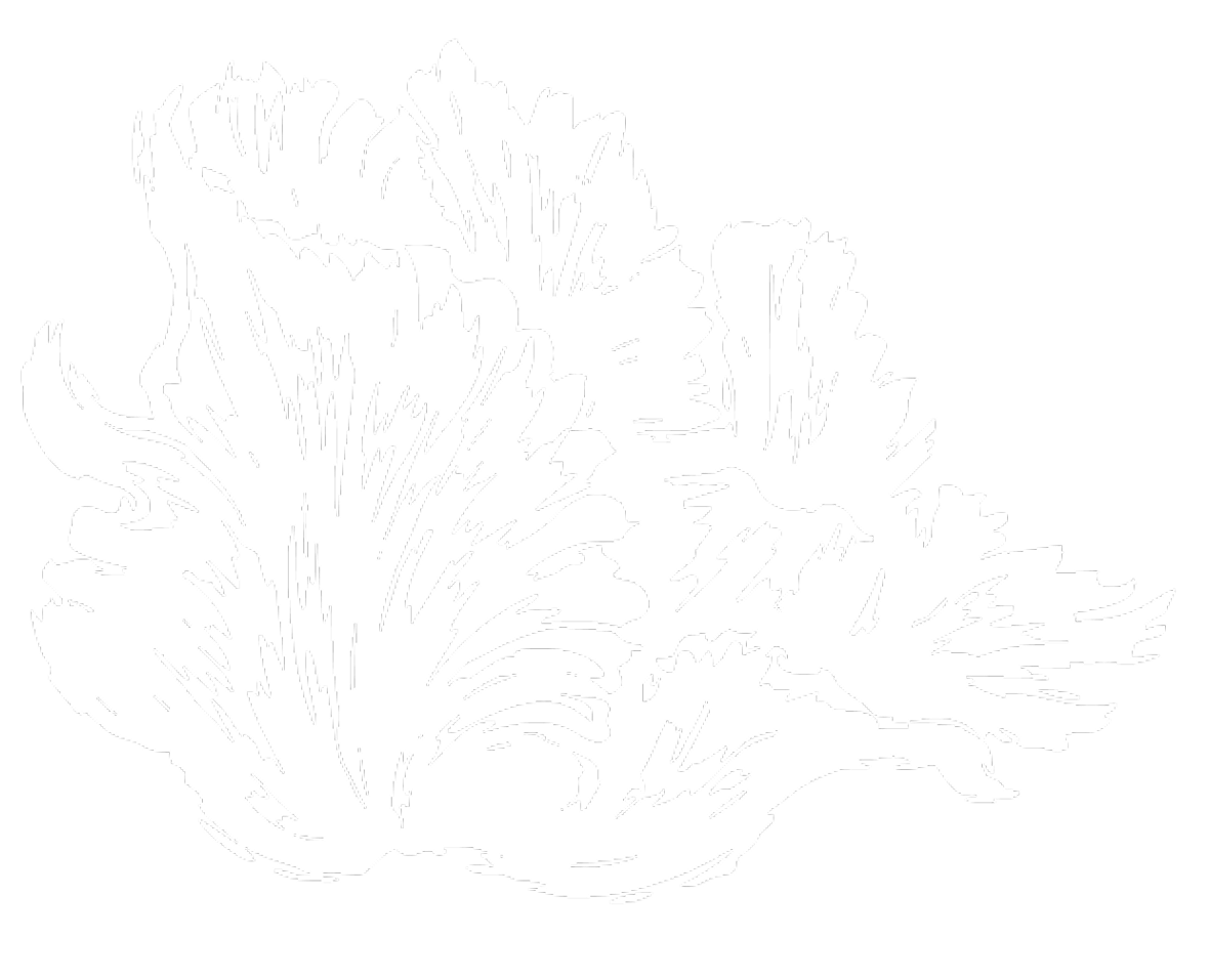 Black and white coral or sea fan silhouette with intricate branching patterns.
