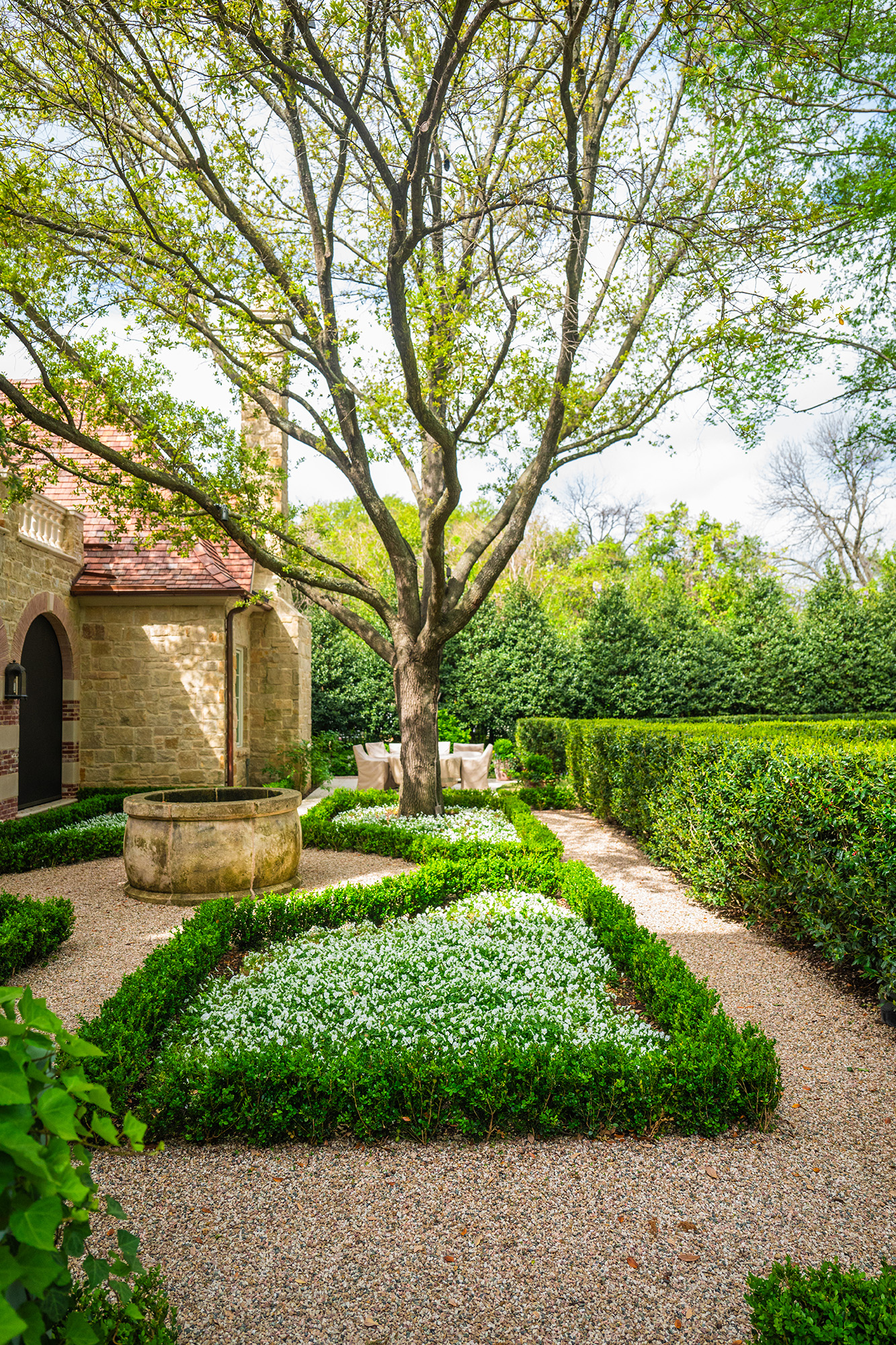 Tree preservation Dallas
