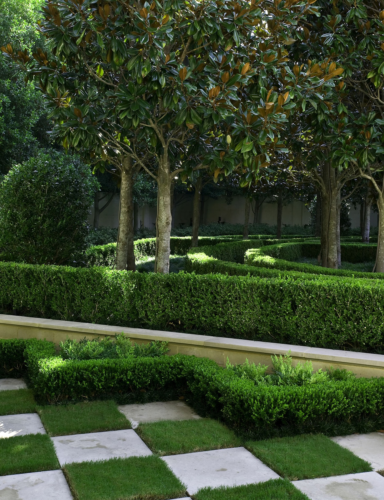 Luxury garden design 