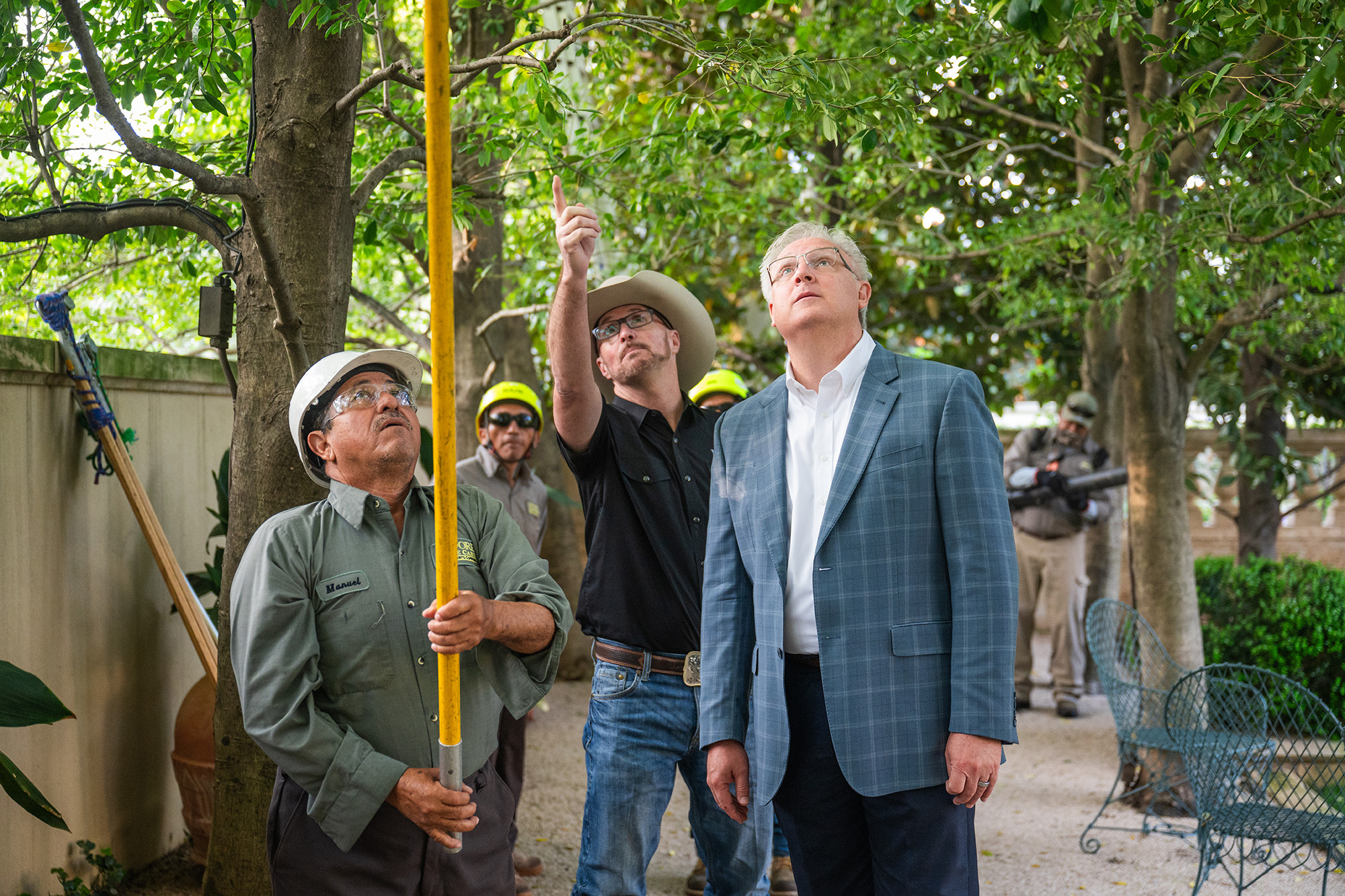 Luxury arbor services