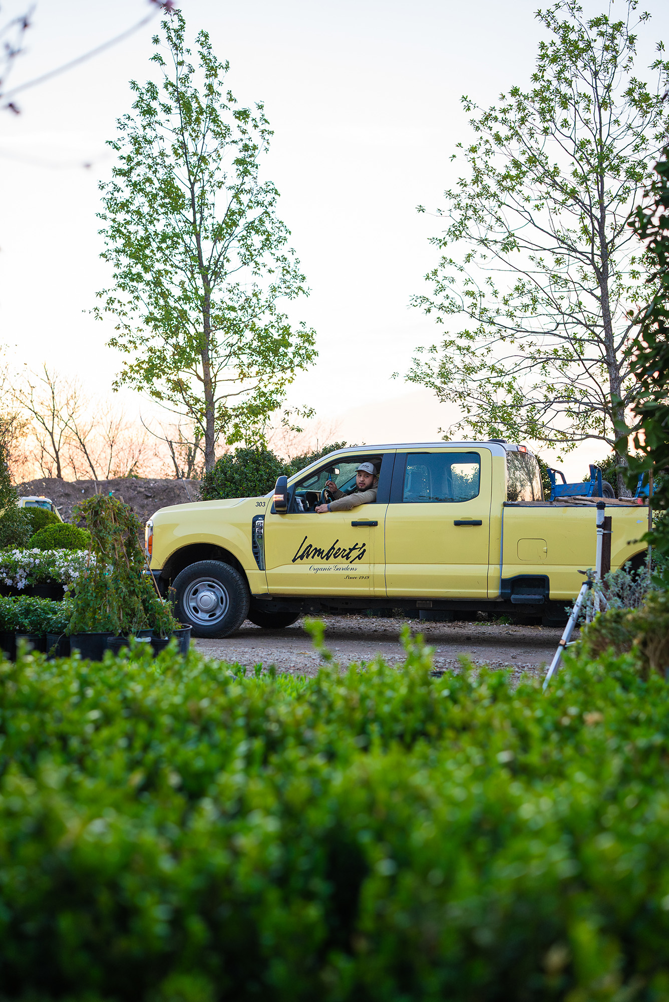 Lambert's Landscaping iconic yellow truck