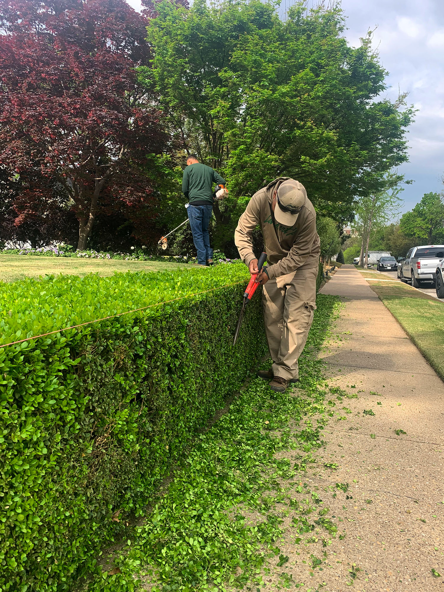 Lambert's garden care service