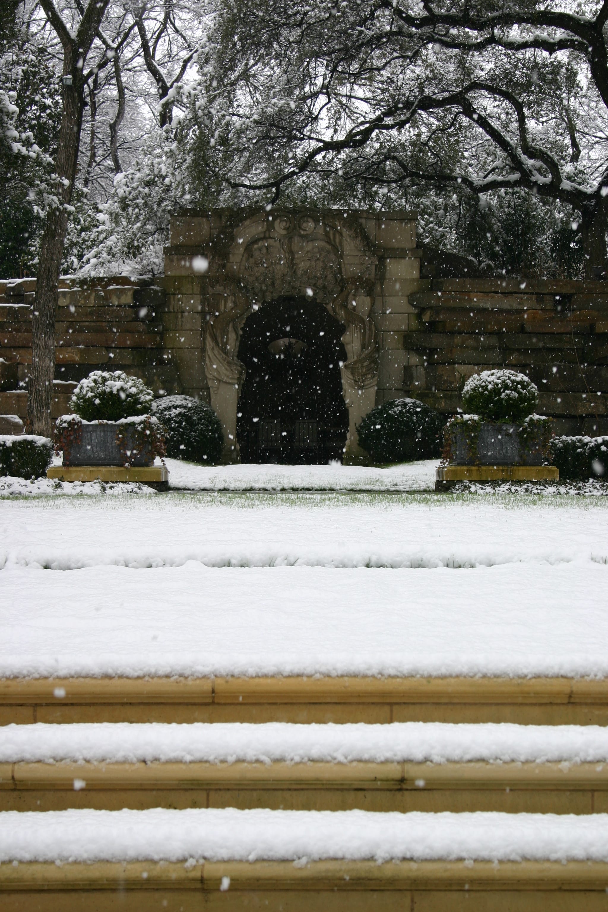 Winter garden care Dallas