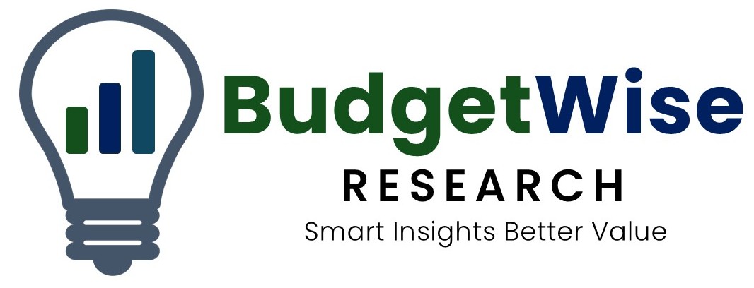 BudgetWise Research logo — Thailand market research firm offering smart insights at better value