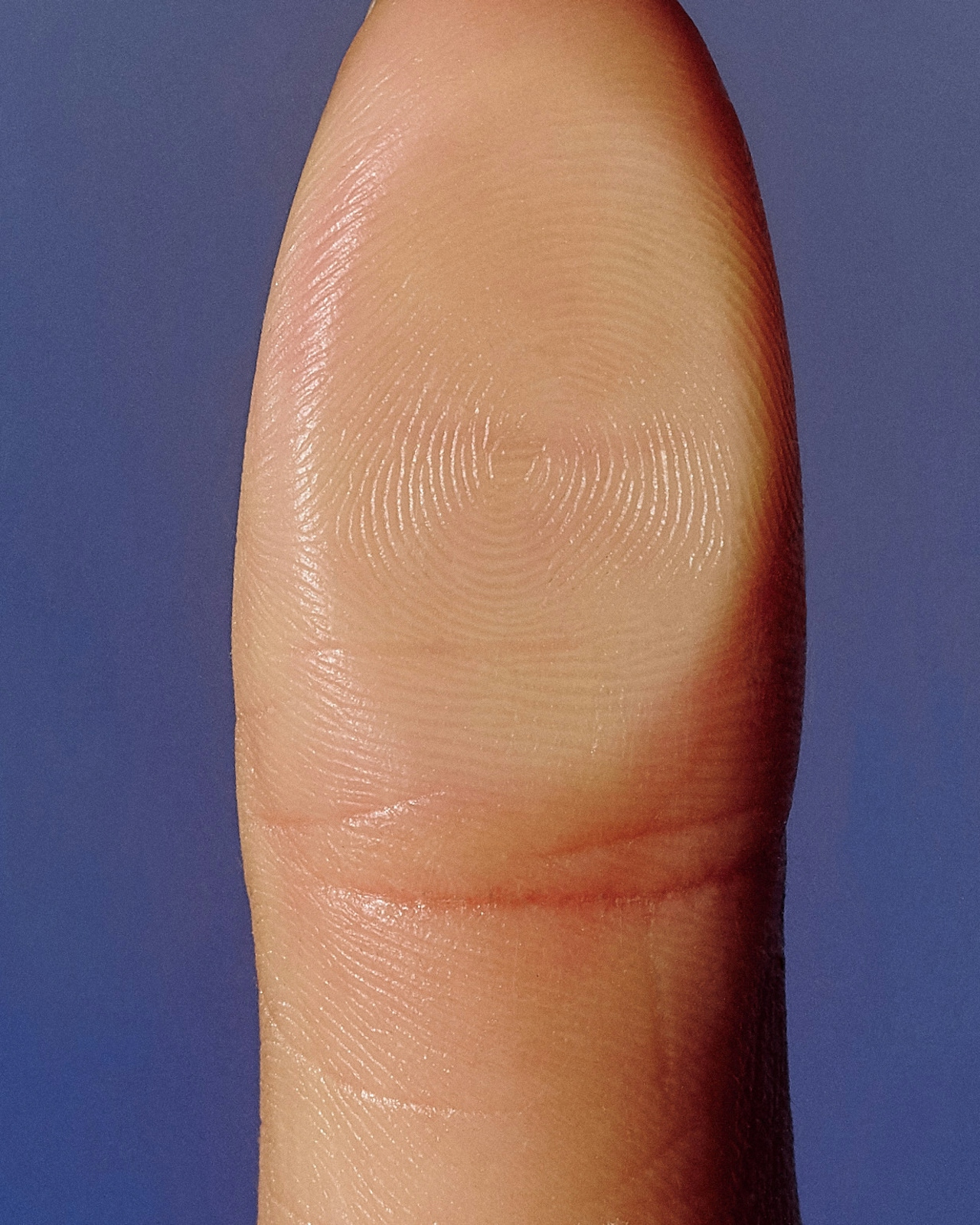 Close-up of a human thumb showing detailed fingerprint ridges and skin texture against a blue background.
