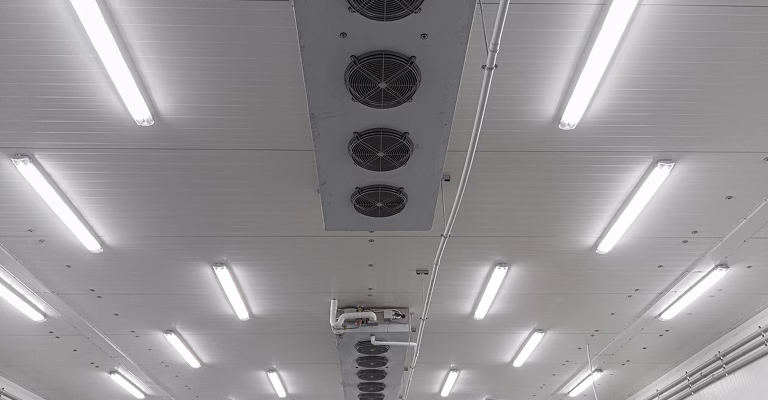 Large Format Retail