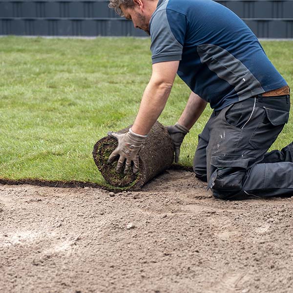 Ein Mann in Arbeitskleidung rollt eine Rolls Rollrasen über das ausgelegt Maulwurfgitter
