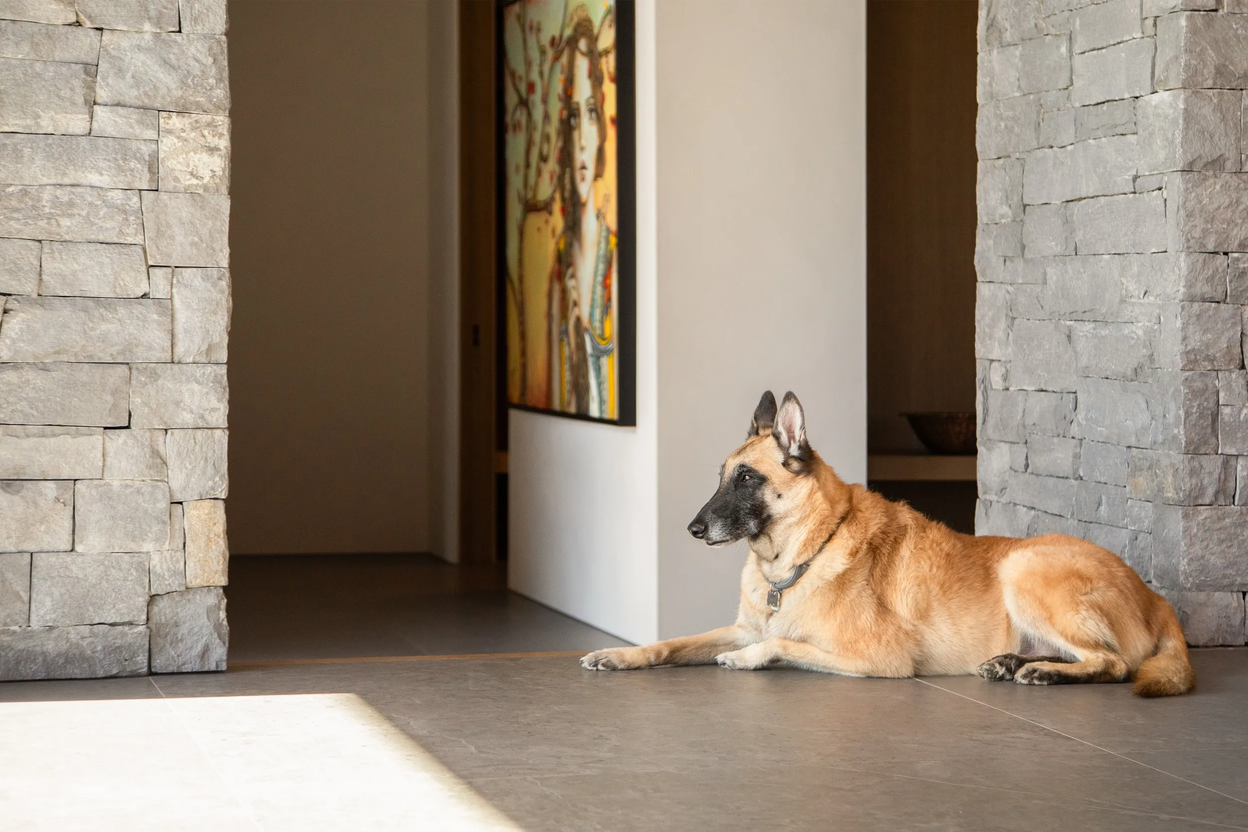 Dog stone columns hallway artwork, luxury smart home technology by QAV in Colorado