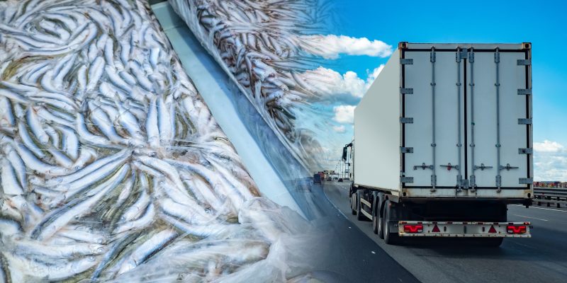 The Biggest Advantages Of Refrigerated Transport