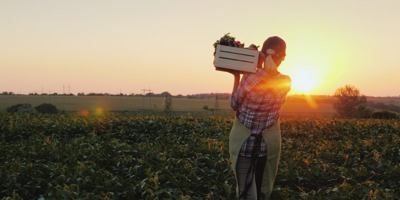 What's New In Queensland's Produce Industry