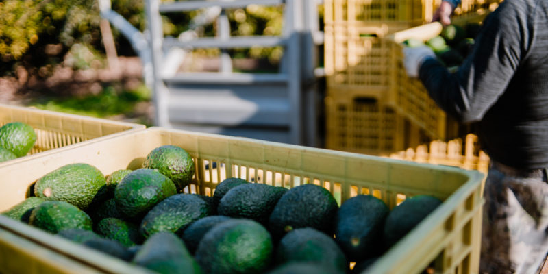 Why Queensland’s Climate Demands Specialist Cold Chain Expertise