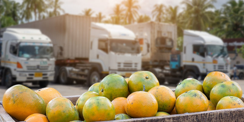 5 Need-to-Know Aspects of Transporting Temperature-Sensitive Products