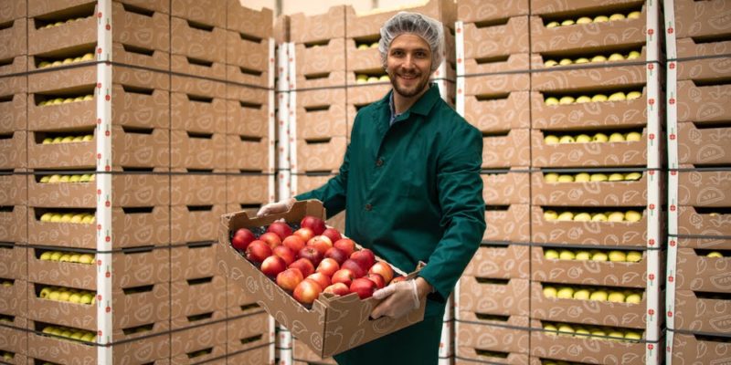 The Importance of Temperature Control in Food Transport