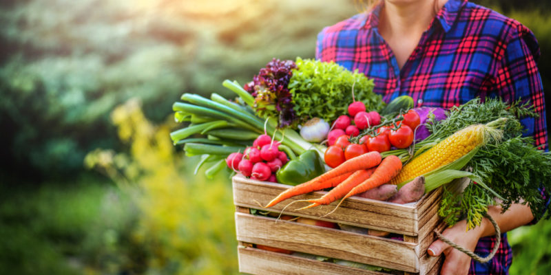 Improving Supply Chain Visibility from Farm to Store