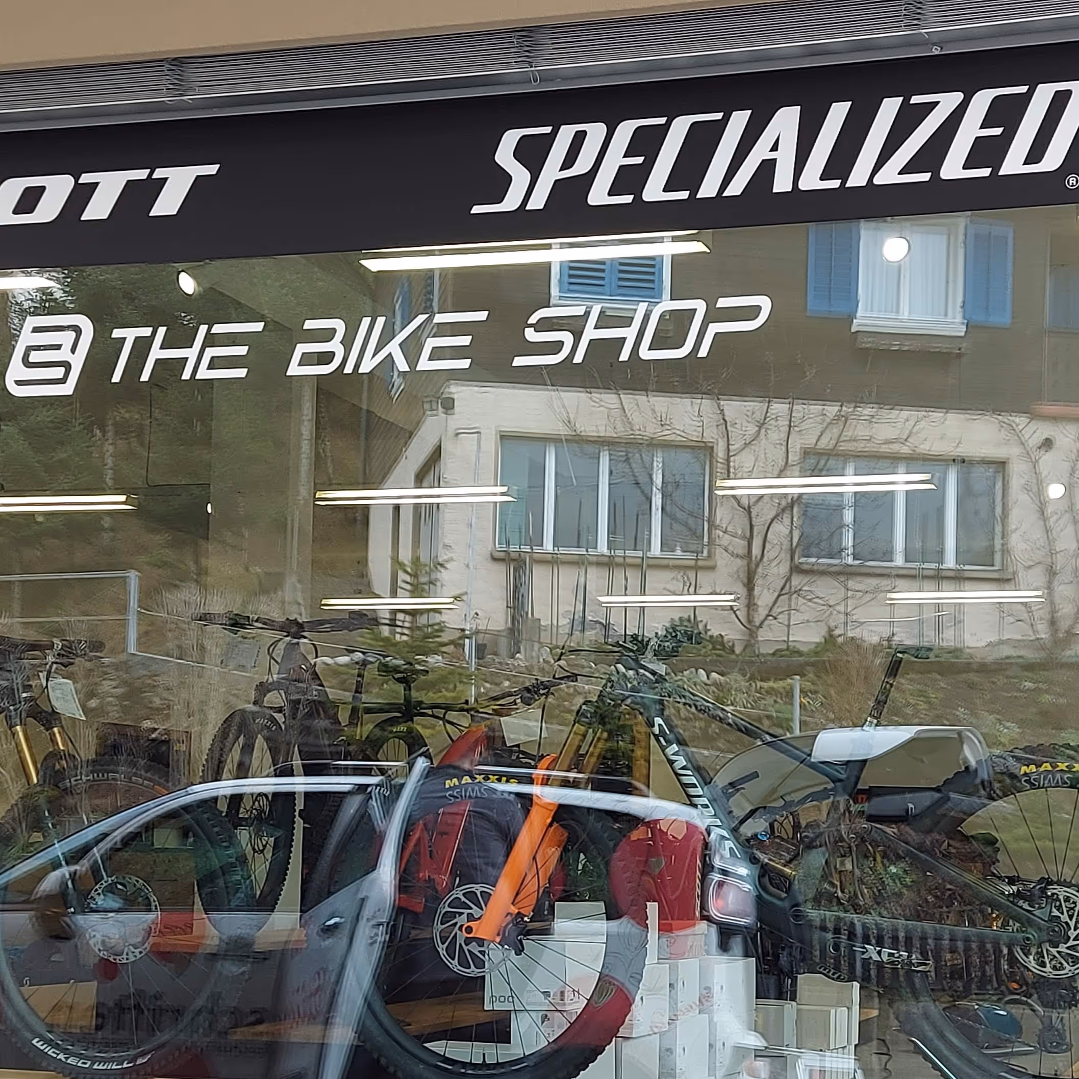 Schaufenster mit Mountainbikes und Fahrradzubehör in einem Fahrradgeschäft, Spiegelung eines Autos.