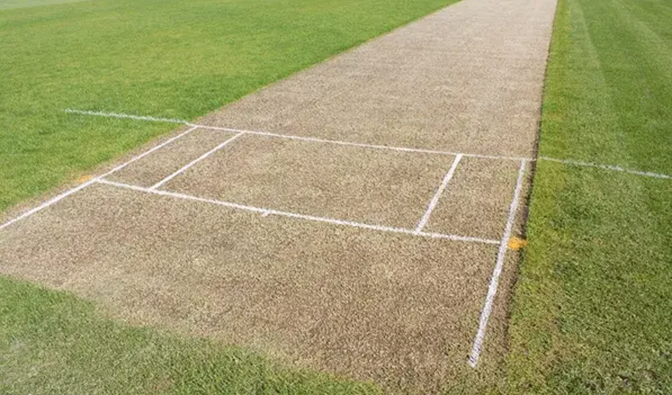 image of company milestones in a timeline format (for an edtech)