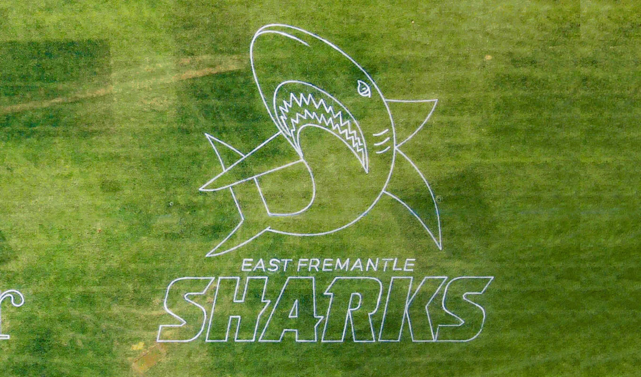 image of company milestones in a timeline format (for an edtech)