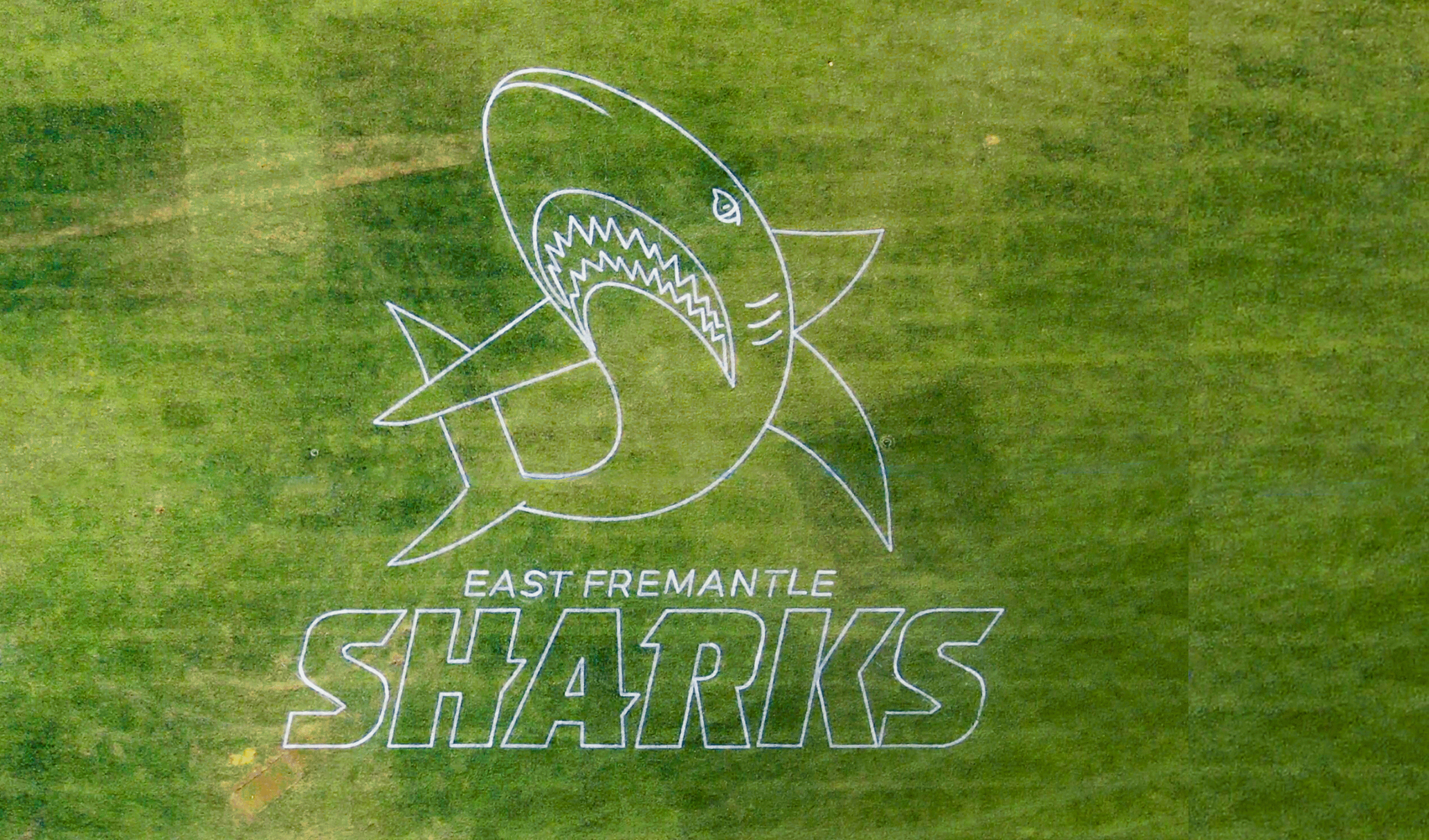 [background image] background image of running track (for a gym)