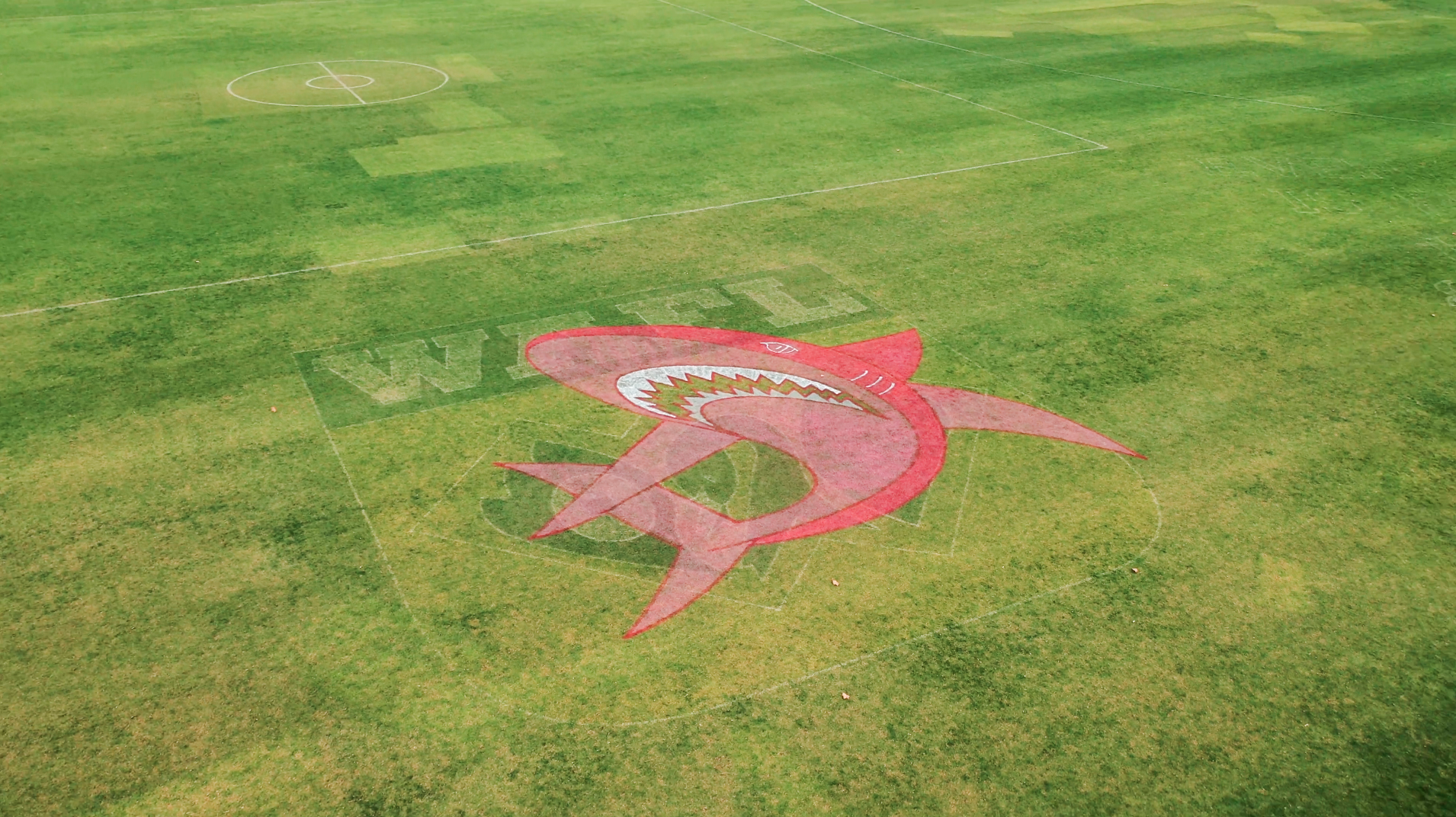 Aerial close-up of the East Fremantle Pink Shark mascot painted on grass