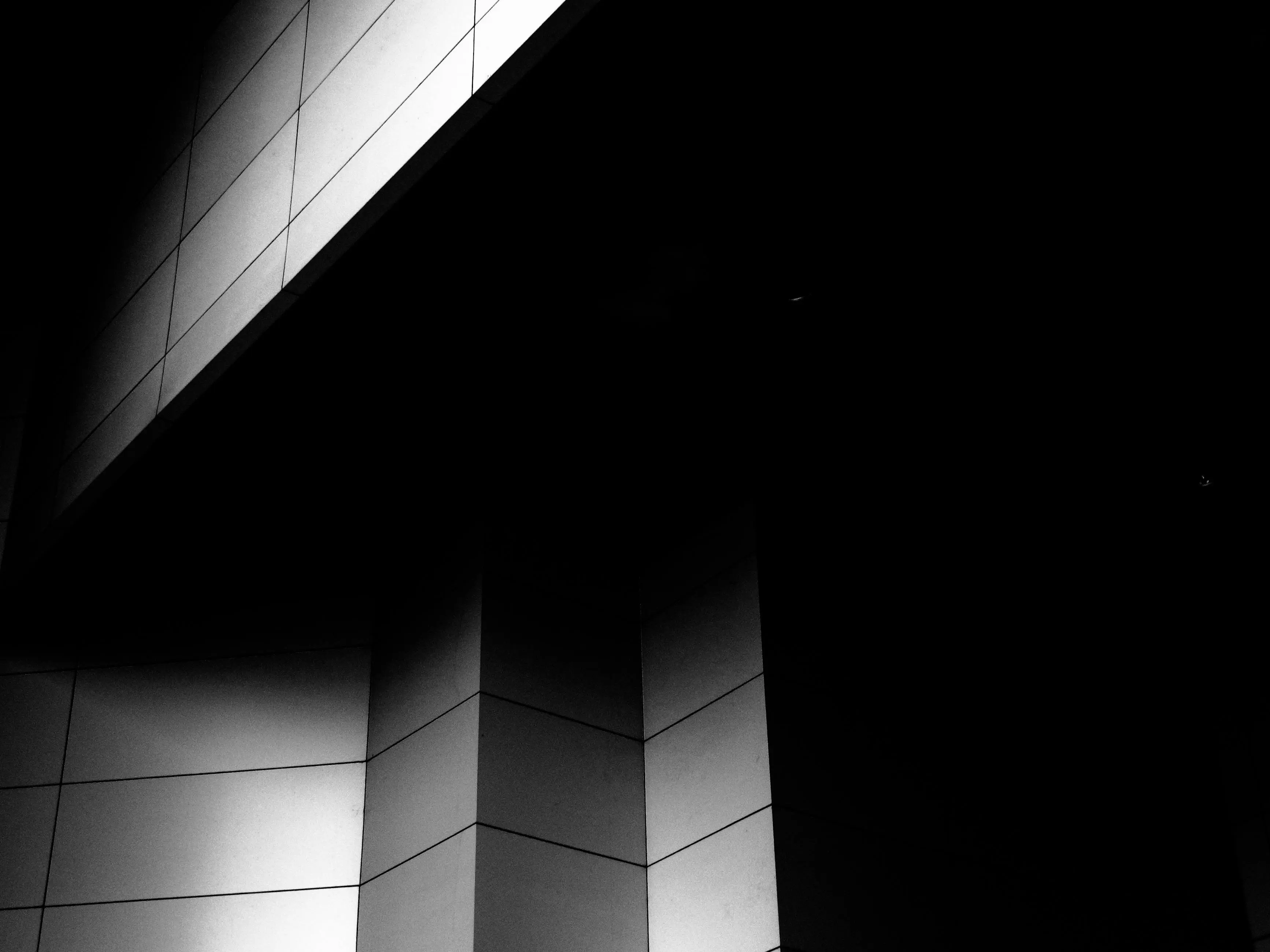 Black and white architectural photo showing sharp angles and panels with strong shadow contrast.