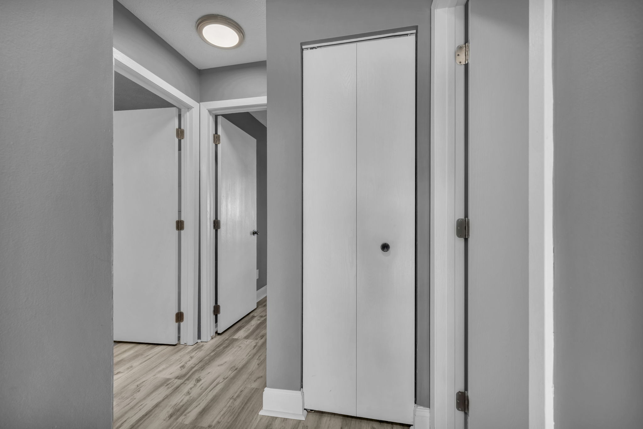 hallway photo with grey walls and white doors and wood floor
