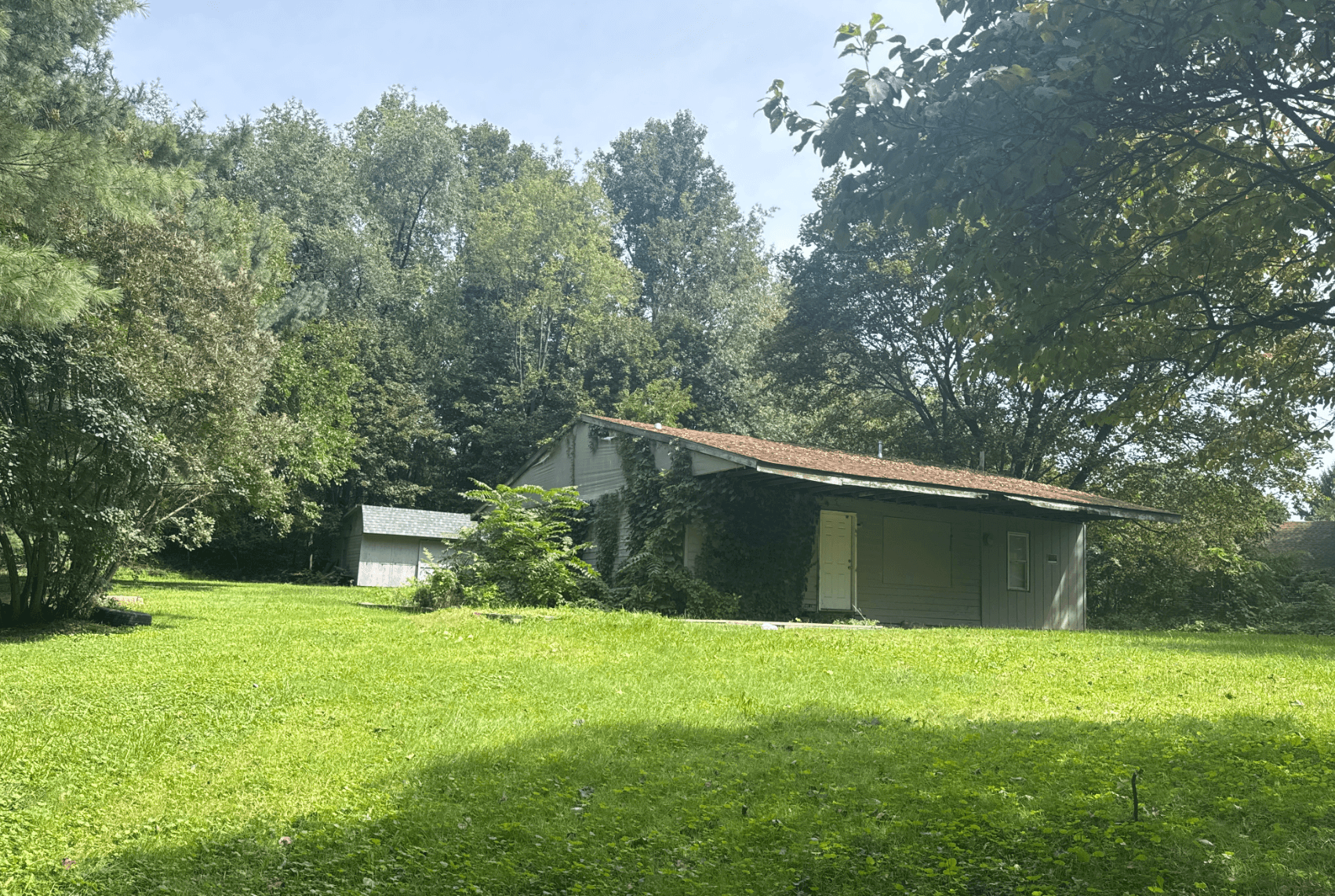 old home with overgrown trees and surrounding area