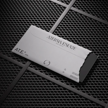 Branded envelope featuring the Aterra Estate logo placed on a metal surface.