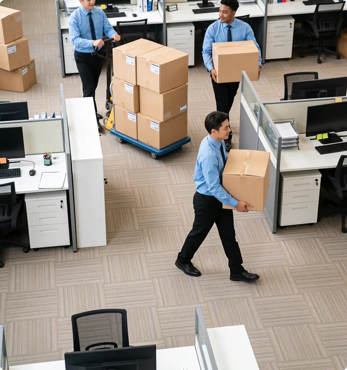 Our Office Removalists in Melbourne