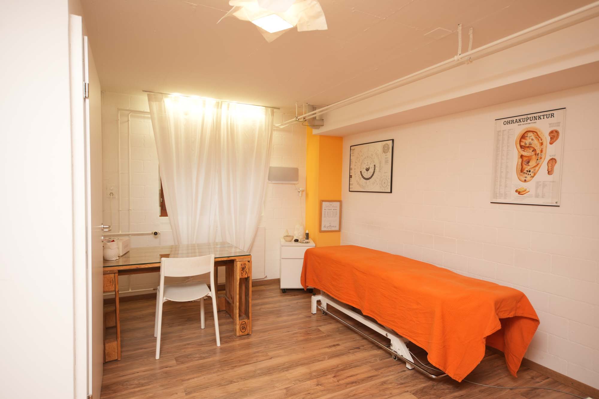 Behandlungsraum mit Massageliege mit orangefarbener Decke, Holzfußboden, Schreibtisch mit weißem Stuhl und weißen Wänden mit anatomischen Postern. Logo - Ganzheitliche Naturheilkunde für Körper, Stoffwechsel und innere Balance, Zürich, Luzern, Winterthur 