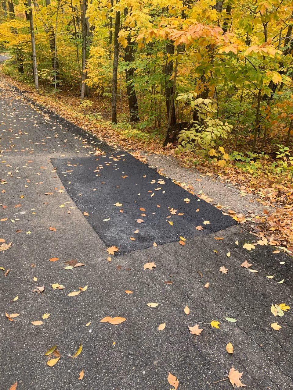 A professionally completed asphalt repair and curbing patch on W Woods Dr, a private road off W Empire Hwy (M-72) outside Empire, MI. The image showcases the seamless integration of new asphalt and restored curbing, providing structural stability and improved drainage for the private residential drive.