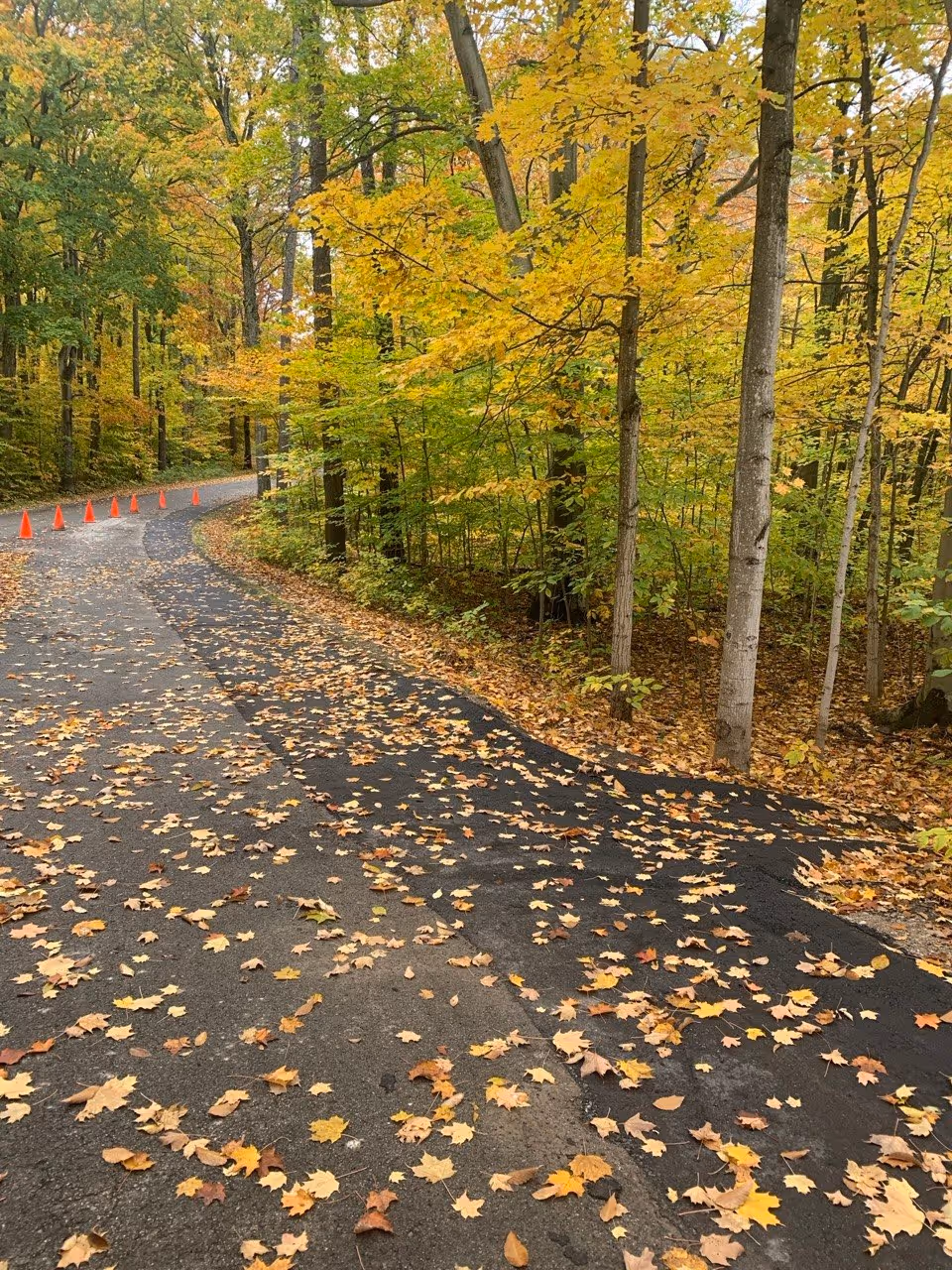 Long asphalt road repair and precision-graded drainage chutes on W Woods Drive in Empire, MI, featuring a seamless patch designed to eliminate ponding water and prevent accelerated road deterioration.