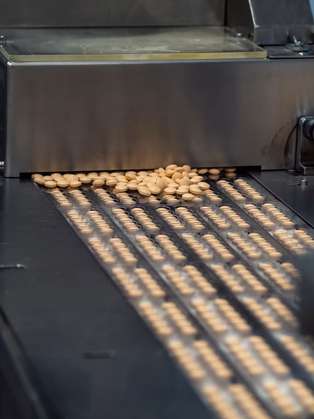 Close-up of a pharmaceutical machine arranging round beige pills in rows on a conveyor belt.