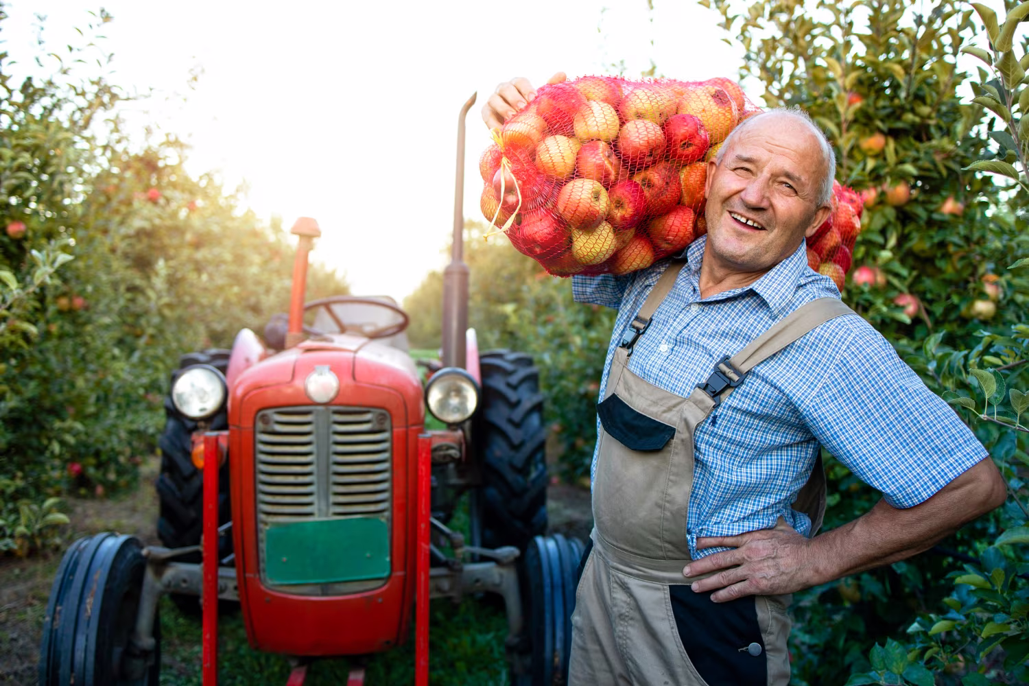 Cum poate ajuta factoringul afacerile agricole