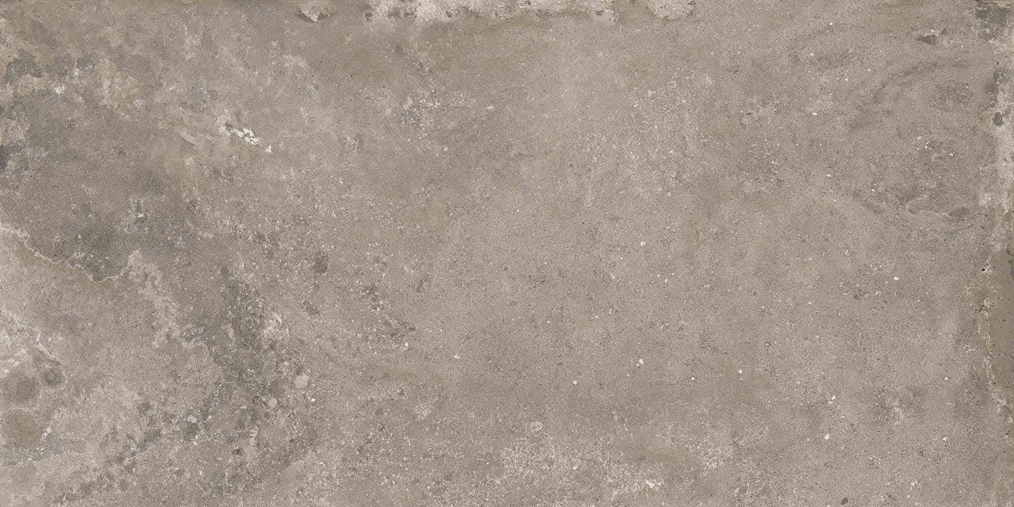 Close-up of gray textured stone surface with natural patterns and small fossil-like marks.