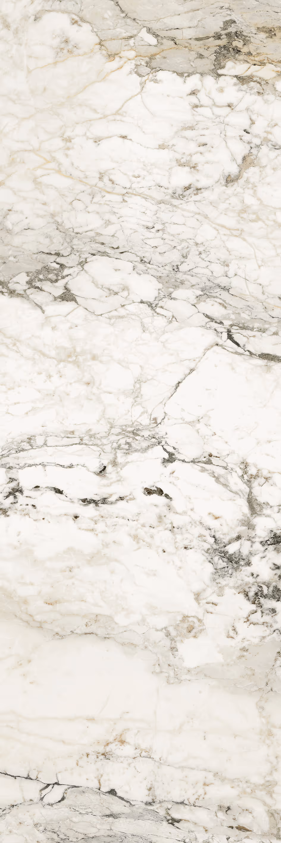 Close-up of white marble surface with gray and light brown veining patterns.