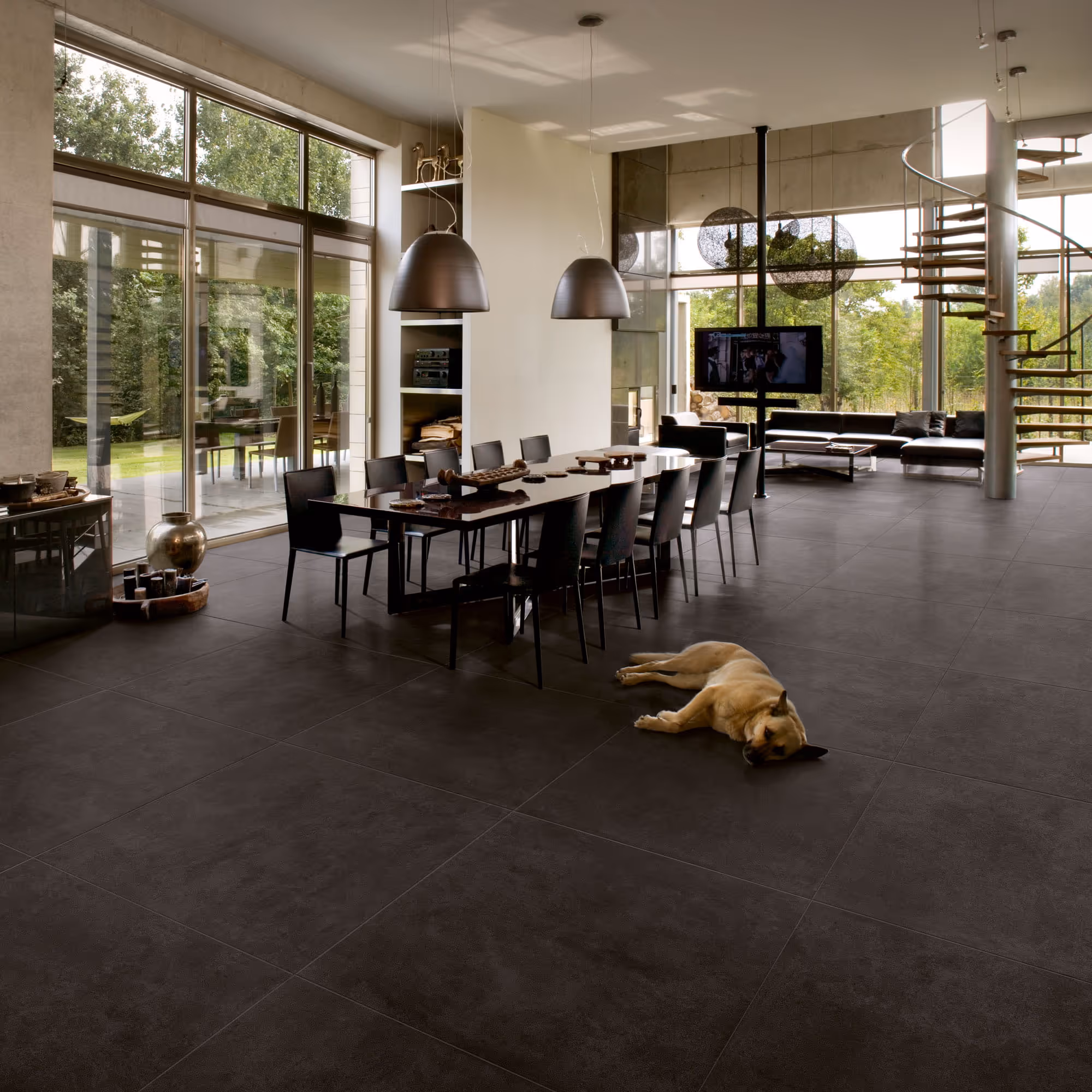 Modern dining area with black table, chairs, large windows, TV, spiral staircase, and a dog lying on floor.