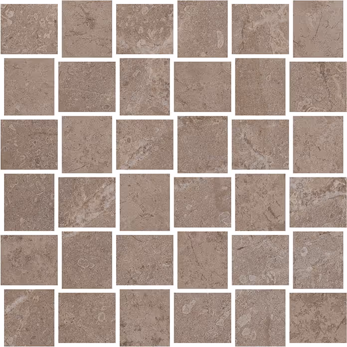 Mosaic of square brown stone tiles with natural textures and subtle fossil-like patterns.