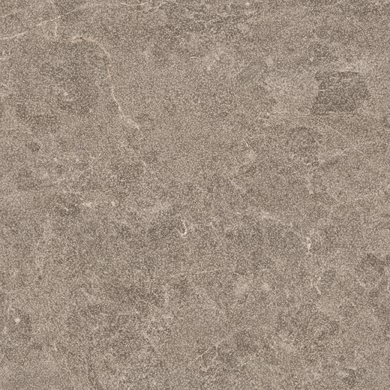 Close-up texture of grey stone tile with natural patterns and subtle speckles.
