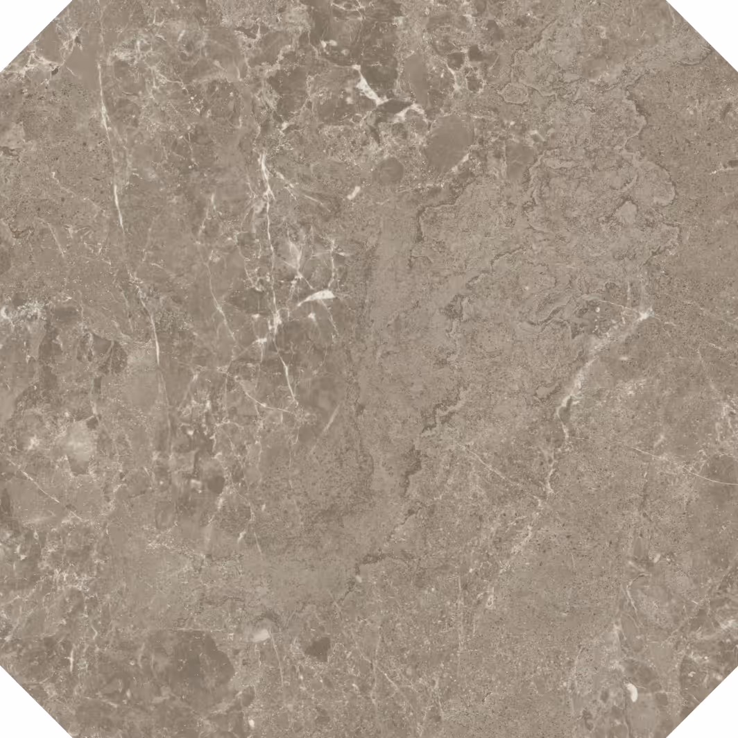 Gray marble tile with white veining in an octagonal shape.