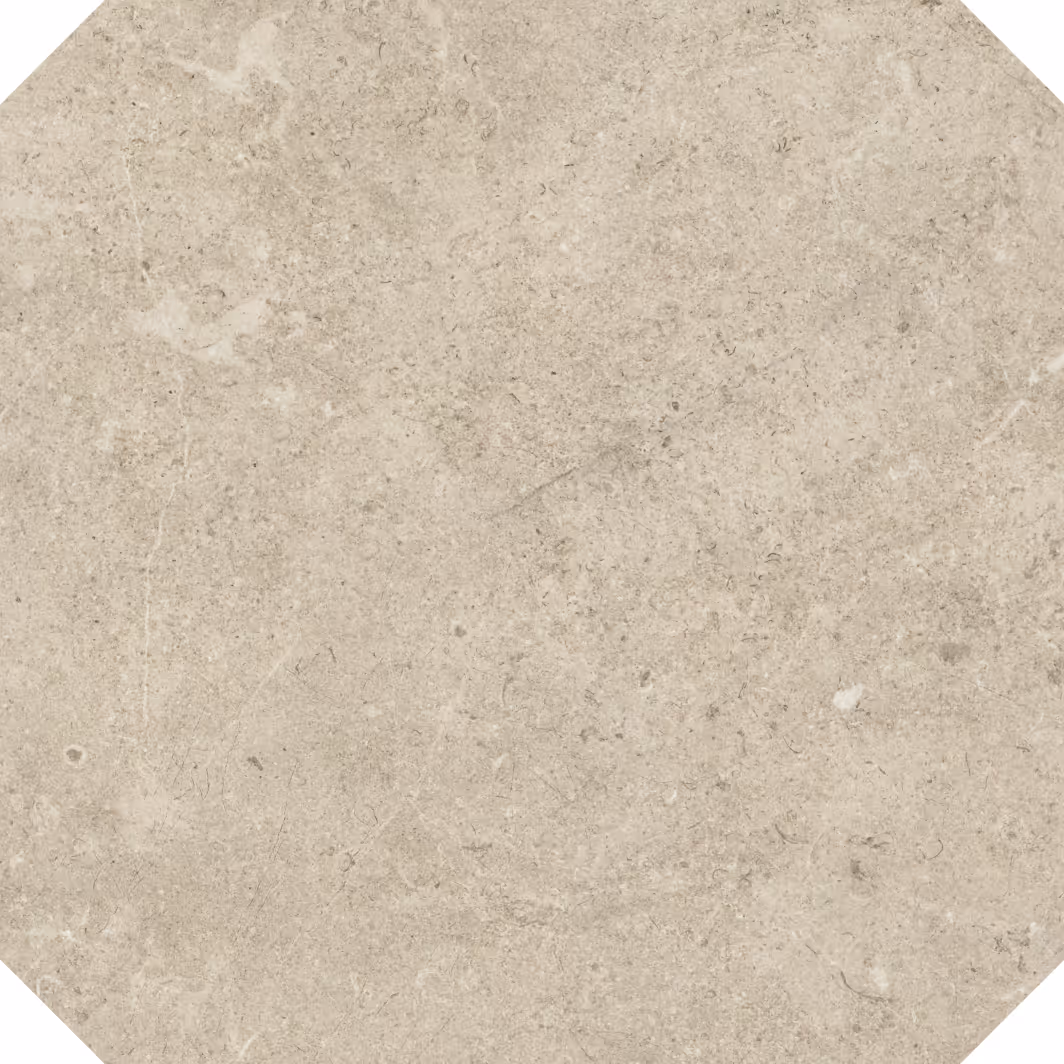 Light grey stone tile with a natural textured surface and subtle color variations.