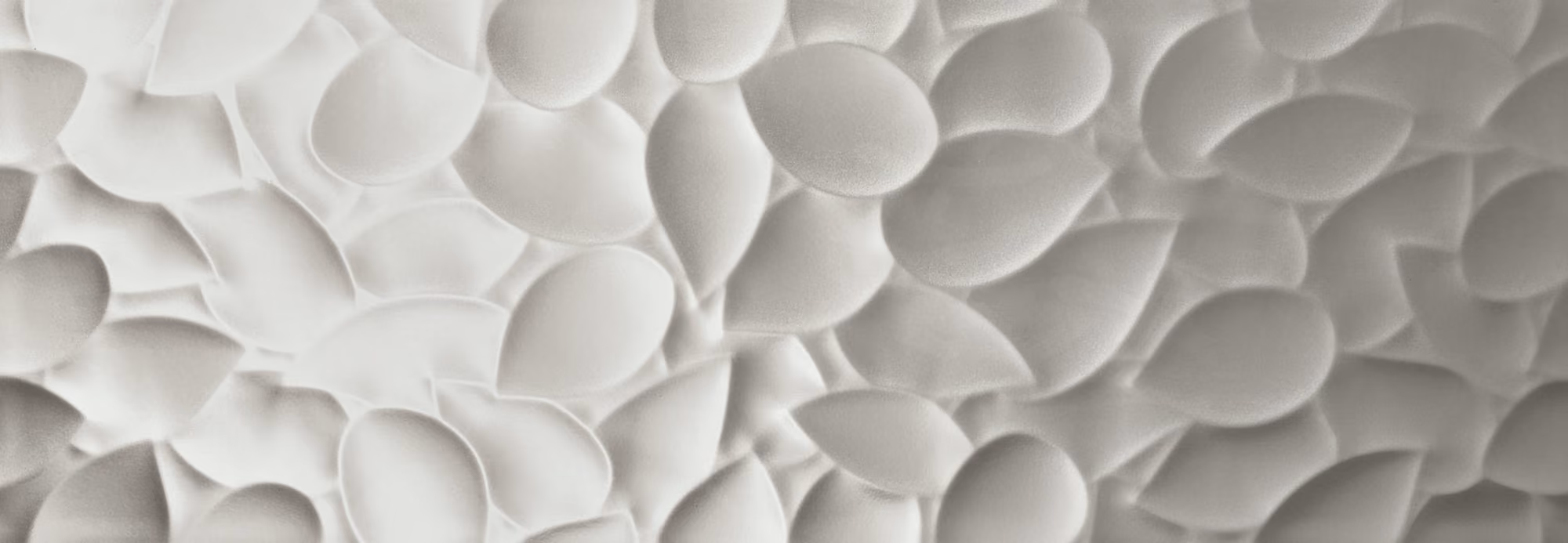 Close-up of overlapping soft white leaf shapes creating a textured pattern.