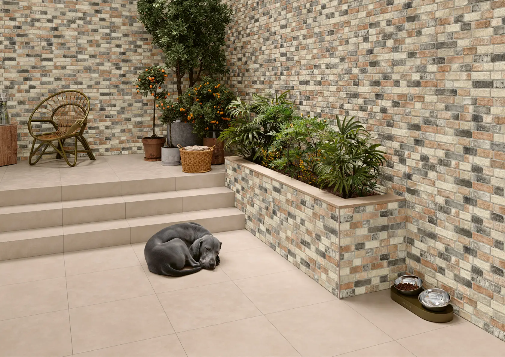Gray dog curled asleep on beige tiled floor near potted plants, raised garden bed, and chair.