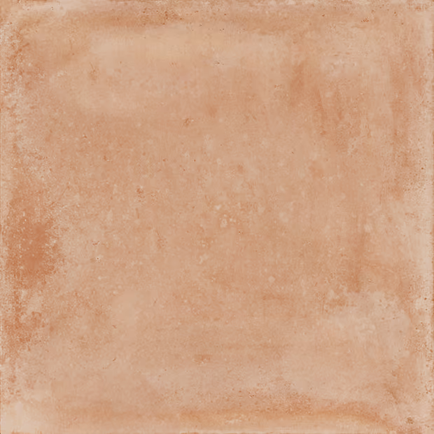 Single terracotta tile with a rustic, weathered finish and light red-brown color.