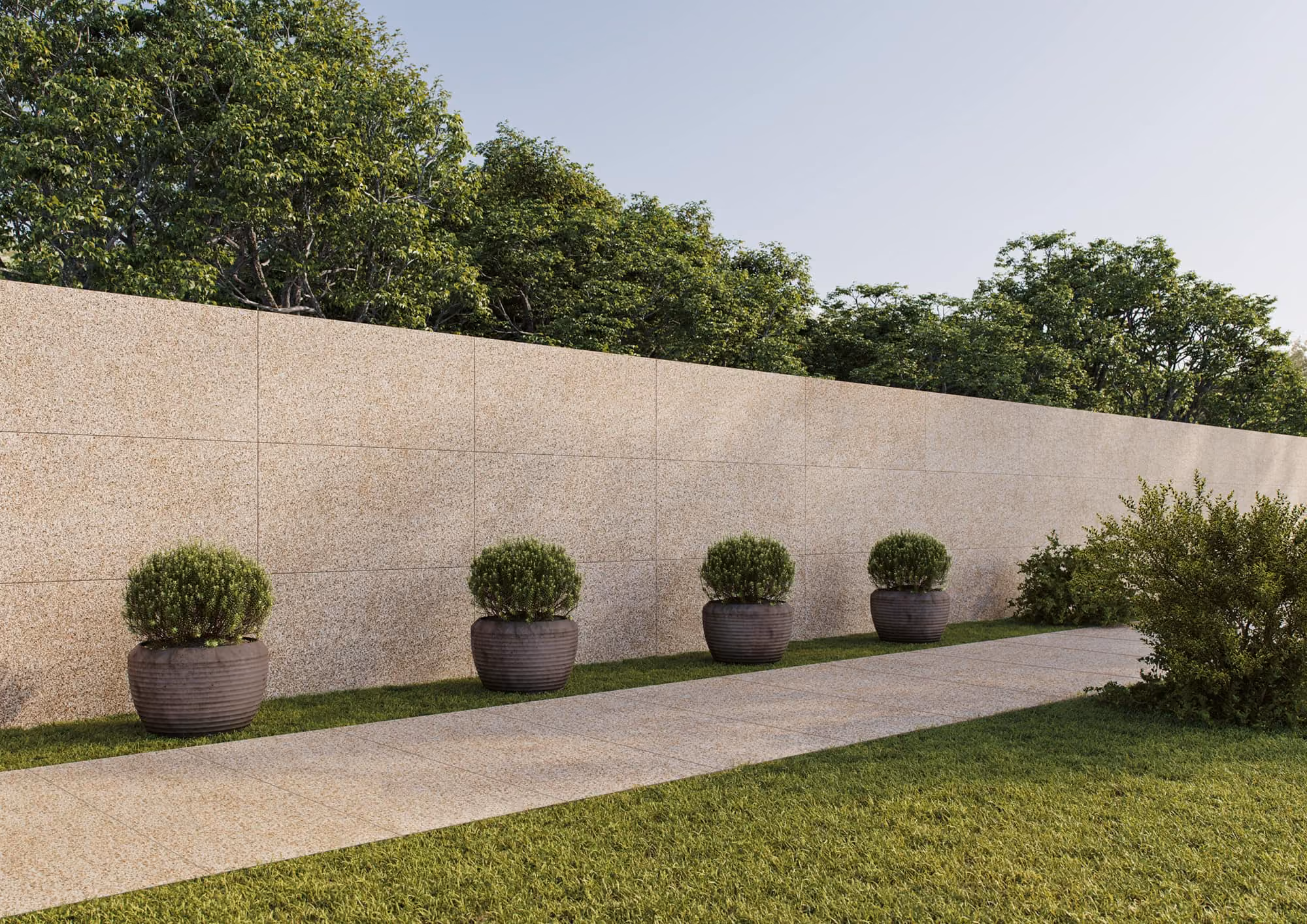 Four round potted bushes lined up along a beige stone wall beside a paved pathway and grass.