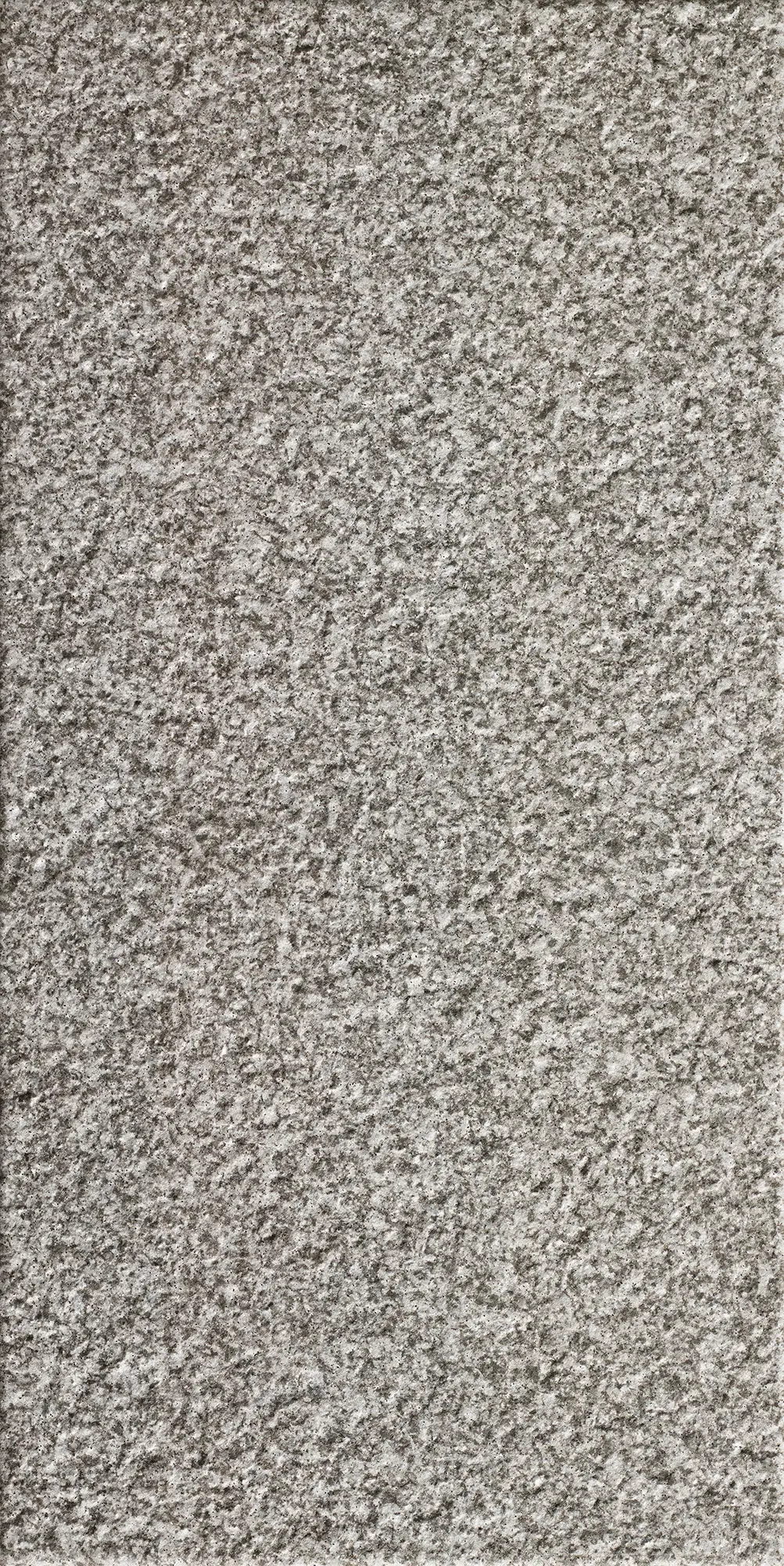 Close-up of a textured light gray rough granite stone surface.
